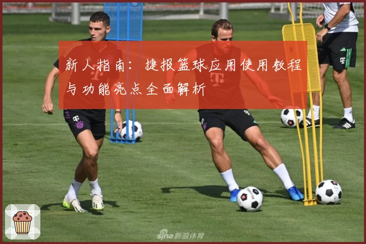 新人指南:捷报篮球应用使用教程与功能亮点全面解析
