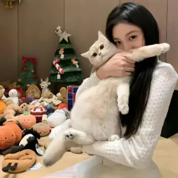 清晨
